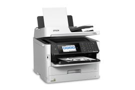 C11CG04301