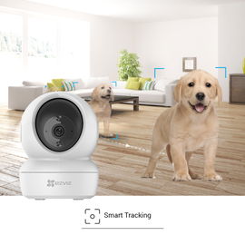 Mini Cámara IP PT 2 Megapixel / Seguimiento Inteligente / Grabación en la Nube / Audio de Dos Vías / Notificación Push / Ranura para Memoria / Uso en Interior Mini Cámara IP PT 2 Megapixel / Seguimiento Inteligente / Grabación en la Nube / Audio de Dos Vías / Notificación Push / Ranura para Memoria / Uso en Interior