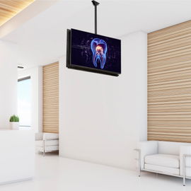 StarTech.com Soporte de Techo para TVs de Espalda con Espalda - con Mástil de 1m a 1,5m StarTech.com Soporte de Techo para TVs de Espalda con Espalda - con Mástil de 1m a 1,5m