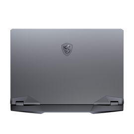 MSI GE66 10SGS 058 Raider MSI GE66 10SGS 058 Raider