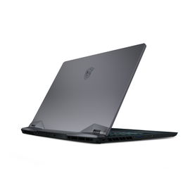 MSI GE66 10SGS 058 Raider MSI GE66 10SGS 058 Raider