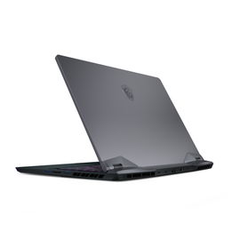 MSI GE66 10SGS 288 Raider MSI GE66 10SGS 288 Raider