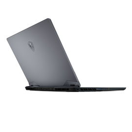MSI GE66 10SGS 288 Raider MSI GE66 10SGS 288 Raider