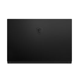 MSI GS66 10SGS 441 Stealth MSI GS66 10SGS 441 Stealth