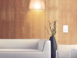 Interruptor Inteligente Wi-Fi, 100 - 120V~, 50/60Hz, 15.0A, compatible con Amazon Alexa y Google Assistant, color blanco.