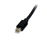 StarTech.com Cable de 1m de Monitor Mini DisplayPort 1.2 Macho a MiniDP Macho- Mini DP Negro 4k
