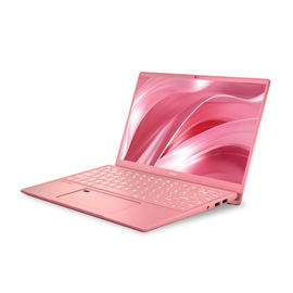 MSI Prestige 14 A10SC-091 
