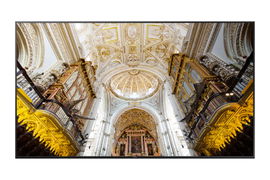 Pantalla Profesional de 85 Pantalla Profesional de 85