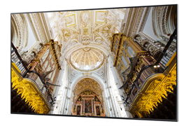 Pantalla Profesional de 85 Pantalla Profesional de 85