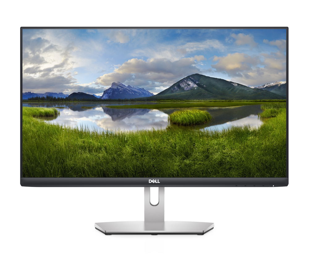 Dell S2421HN - Monitor LED - 23.8