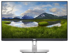 Dell S2421HN - Monitor LED - 23.8